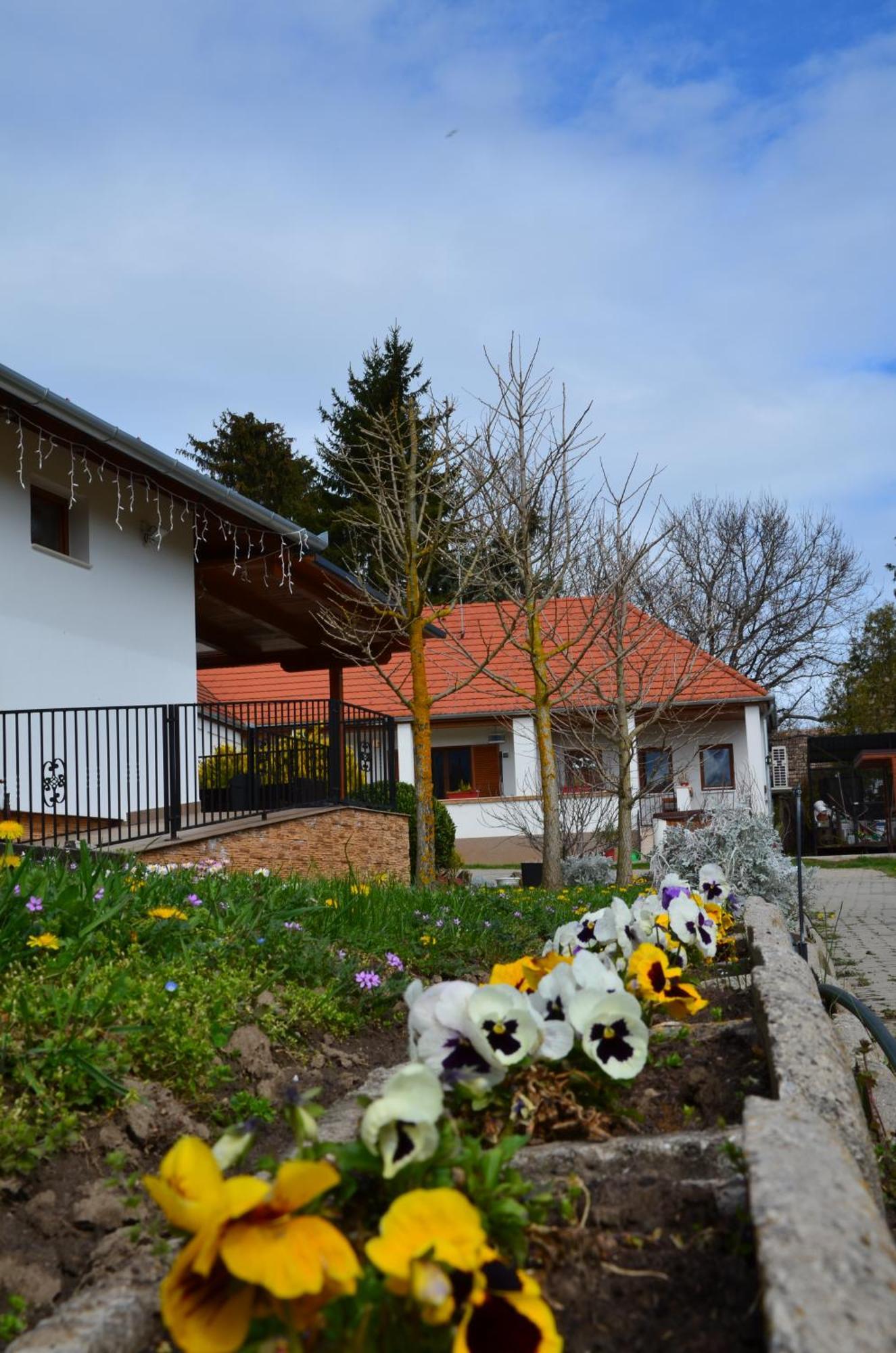 Kerekerdo Vendeghaz Hotel Kisszékely Kültér fotó